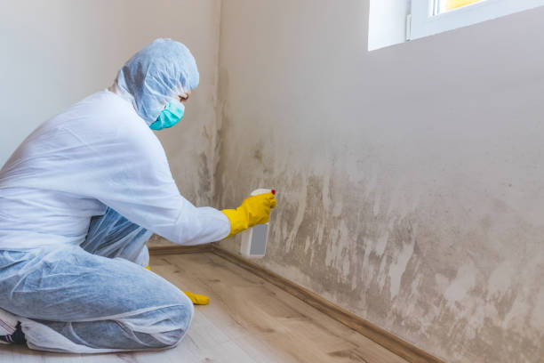 Crawl Space Mold Removal in Wolf Point, MT