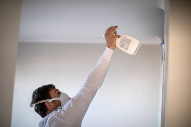 Best Mold Removal Near Me  in Wolf Point, MT