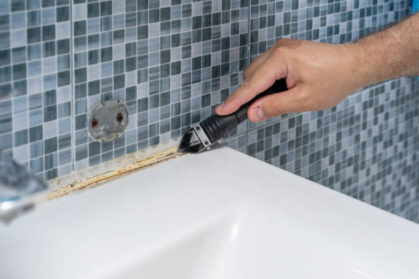 Best Home Mold Removal  in Wolf Point, MT