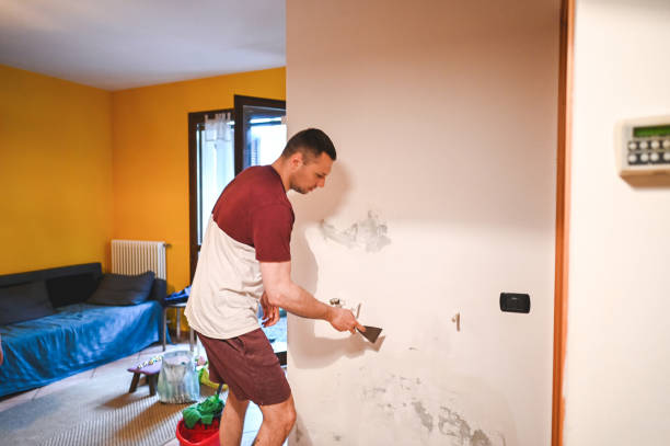Best Best Mold Removal Companies  in Wolf Point, MT